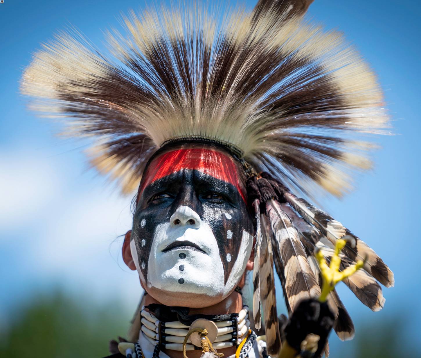 Canada Day Indigenous Showcase and Powwow 2019
